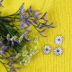 Pin's marguerite